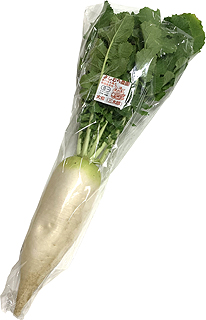 36170 よしむら農園 有機栽培 大根 1本