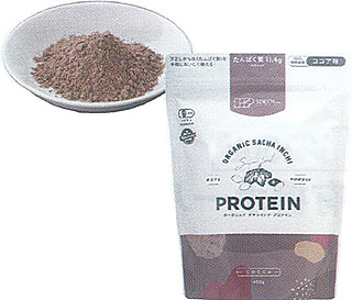 61589(翌々週)創健 オーガニック サチャインチプロテイン ココア味 450g