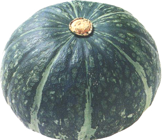 32298 ユウキ八百屋 かぼちゃ 1個