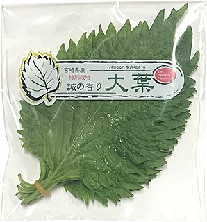 27031 アルファー 宮崎産　特別栽培　大葉 10枚