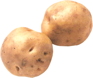 32296 ユウキ八百屋 じゃがいも 1kg