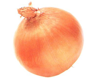 32297 ユウキ八百屋 玉ねぎ 1kg