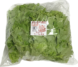 49934 よしむら農園 有機栽培　グリーンリーフレタス 1個