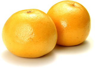 6269 舛谷 自然農法　甘夏 2kg