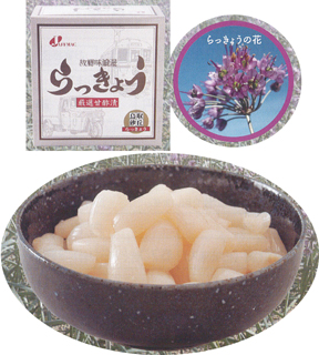 55297（予約）ジャフマック 新物　砂丘らっきょう（190g×3） 570g