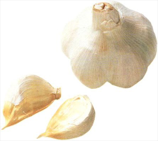 9478 楠 新にんにく（農薬・化学肥料不使用） 1kg